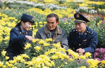 谯城工商积极引导农民转型，花木种植经营成致富新路径