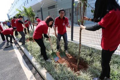 以环保产品为生命线，打造环境友好型农副产品销售企业